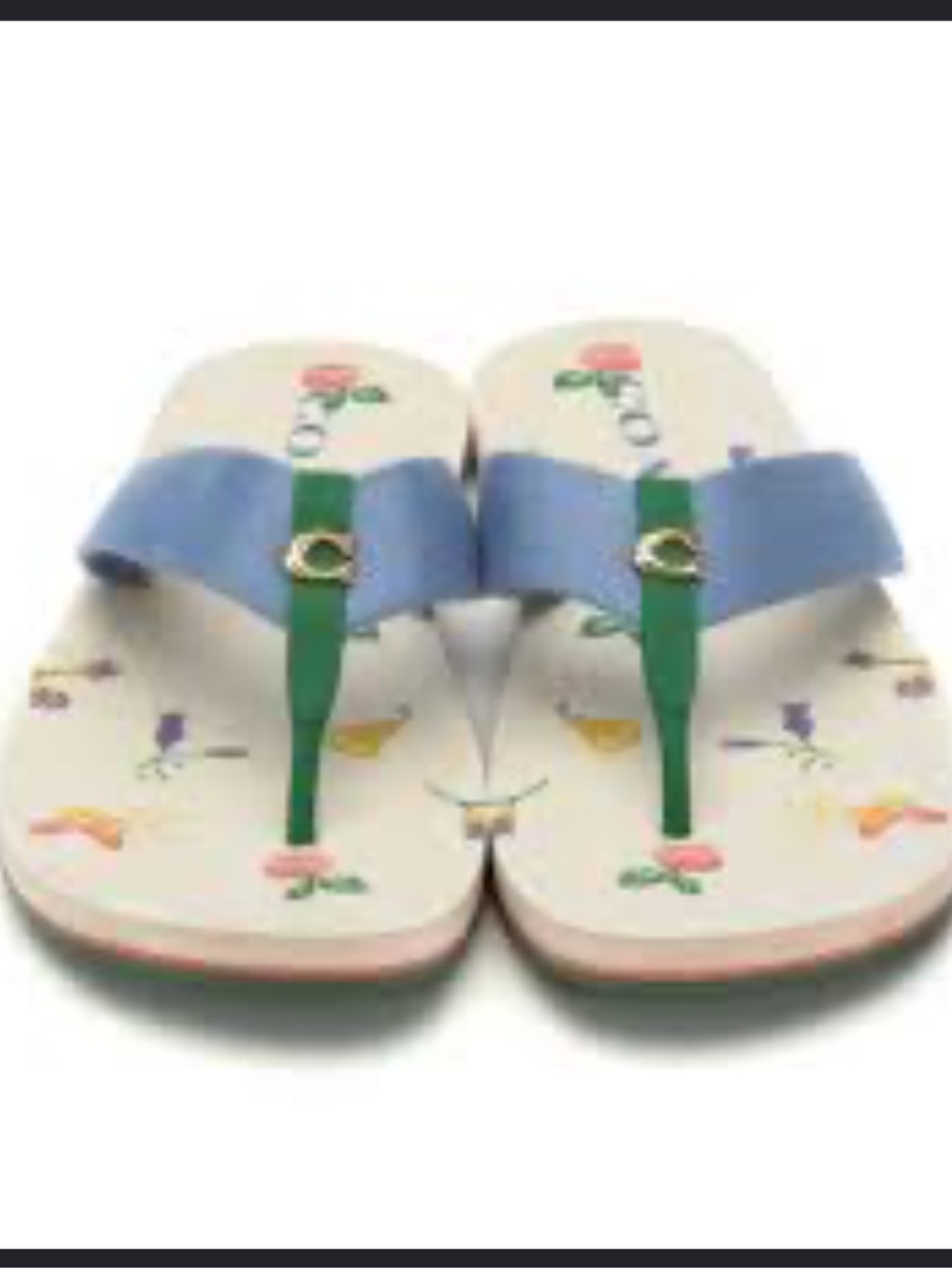 Coach Floral Print Thong Sandals in Blue & Green